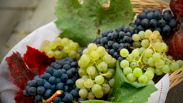 Which are Better for Health, Green Grapes or Black Grapes?