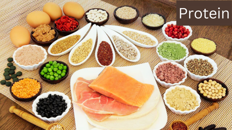 Rich Sources of Protein
