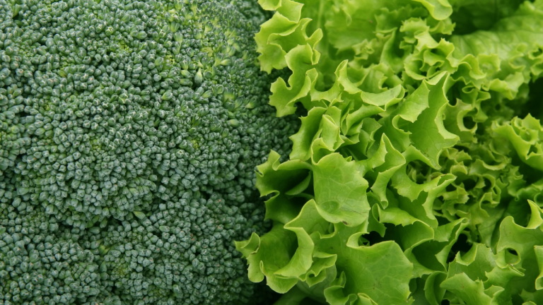 Are Spring Greens Low-Fodmap?