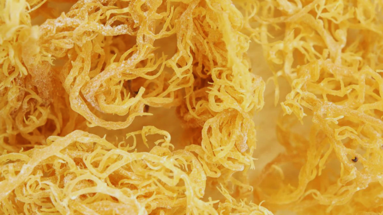 How Much Sea Moss Should I Take Daily?