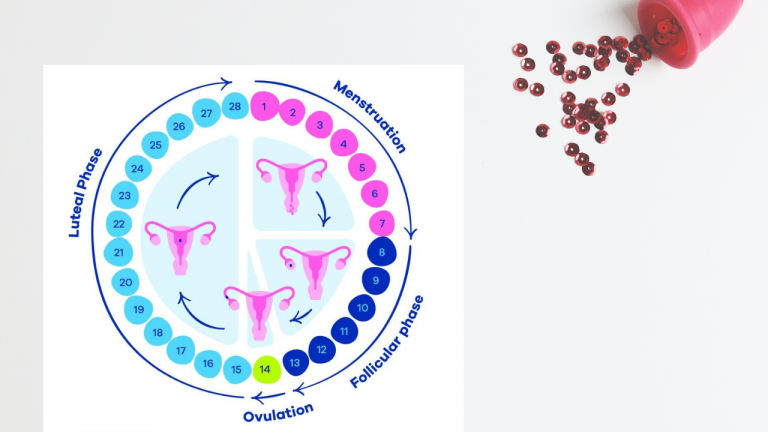 What are the Most Important Tips For The Menstrual Cycle?