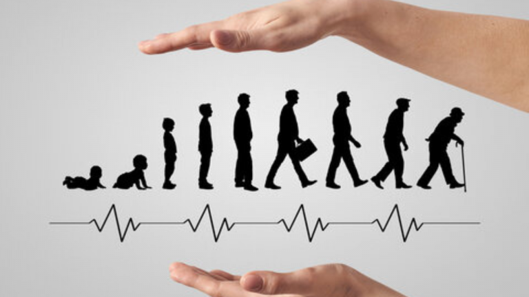 Basic Nutrition For Different Life Cycles