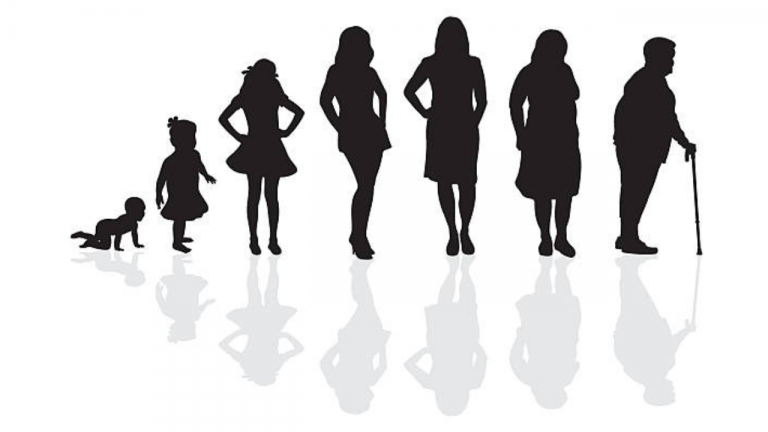 Female Life Cycle Transitions