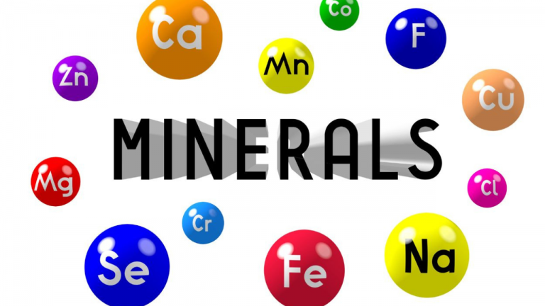Plant Based Micronutrients: Minerals