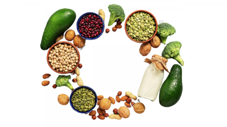 Best Plant Protein Sources