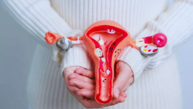 Estrogen Hormone Role in PCOS