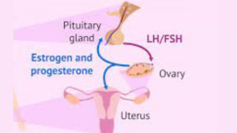 Factors Affecting Women Hormones