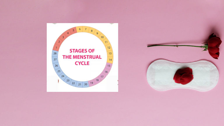 What is Menstruation