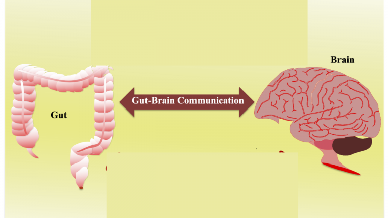 The Brain-Immune-Gut Axis, Vagal Tone and Chronic Disease