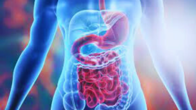 Estrogen, Progesterone and Testosterone: Impact on Digestion