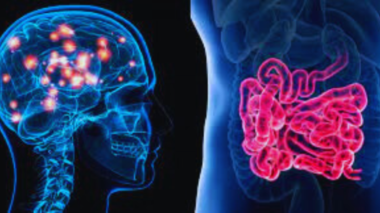 Can Leaky Gut Drive Brain Inflammation?