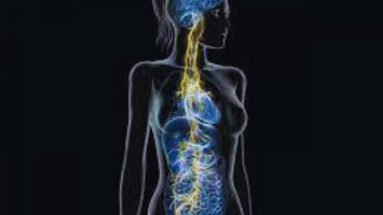 Why Vagal Tone is Critical for Healthy Digestive Function