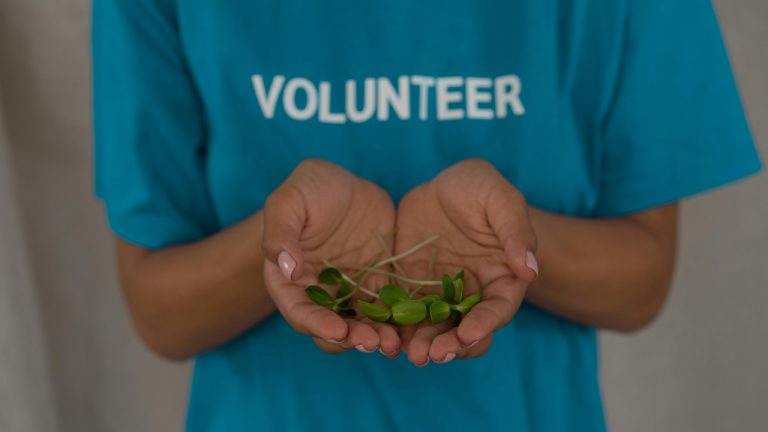 Homegrown Sprouts Guide