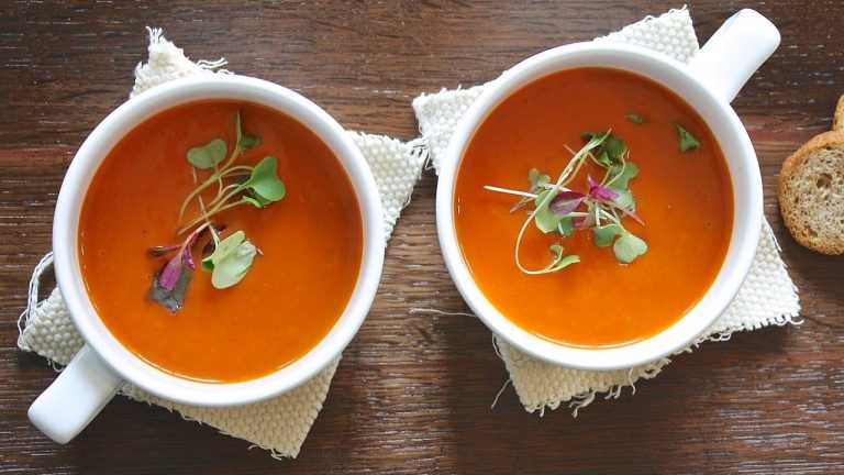 Fresh Tomato Vegetable Soup