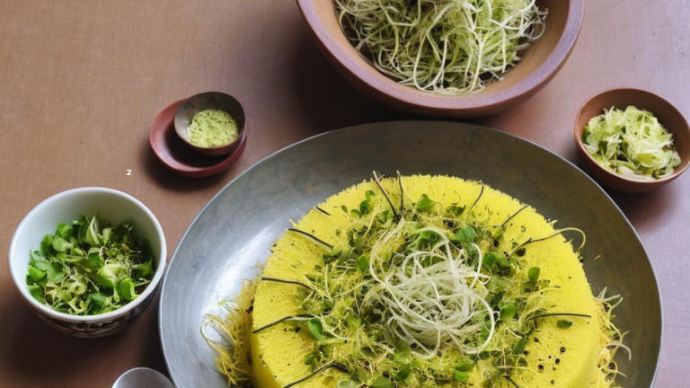 Savory Sprouts Dhokla