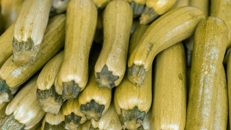 Unlocking the Digestive Benefits of Zucchini: Fiber, Prebiotics, and Hydration