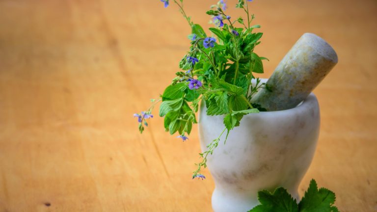 Exploring Traditional Chinese Medicine (TCM): A Holistic Path to Wellness