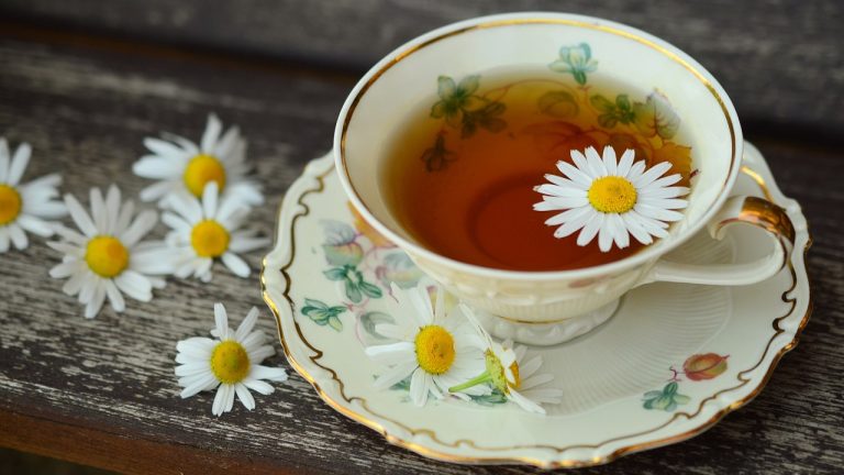 Exploring the Healing Benefits of Herbal Teas