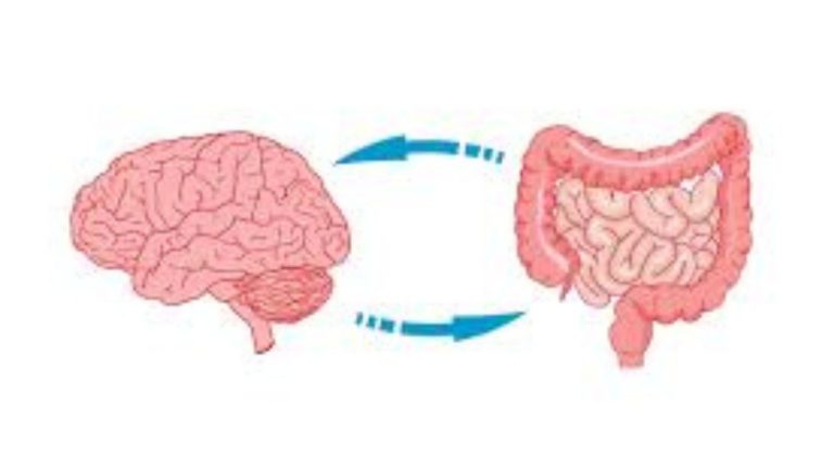 Heal Your Gut, Ease Your Pain: Exploring the Gut-Brain Axis