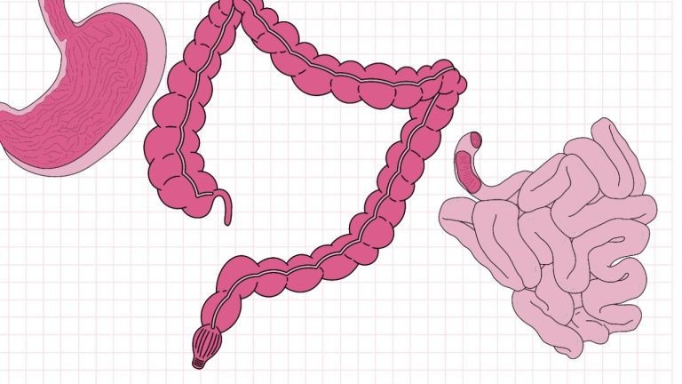 The Ultimate Gut Cleanser for Immunity and Skin Health