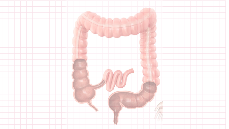 Unlock Better Health: Natural Constipation Relief