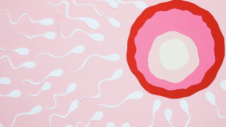 Secrets to Improving Sperm Quality and Count