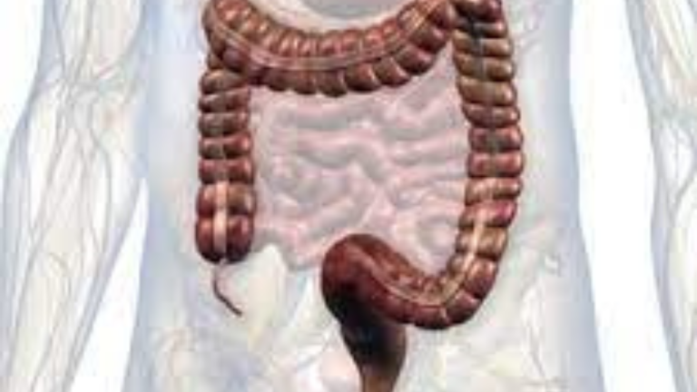 Gut Health and Its Connection to Your Mood