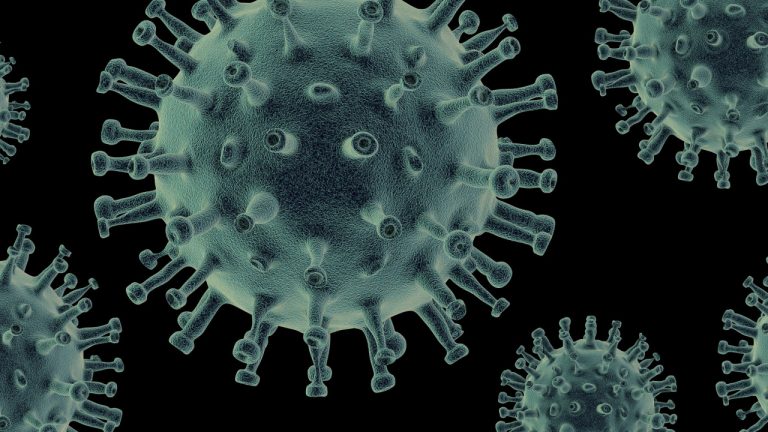 The Root Cause of Disease: Toxins and the Path to Wellness