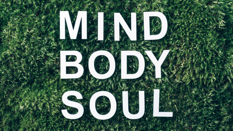 Holistic Health and Wellness Program