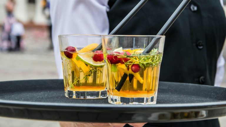 Sip to Heal: Plant Power Drinks for Everyday Wellness