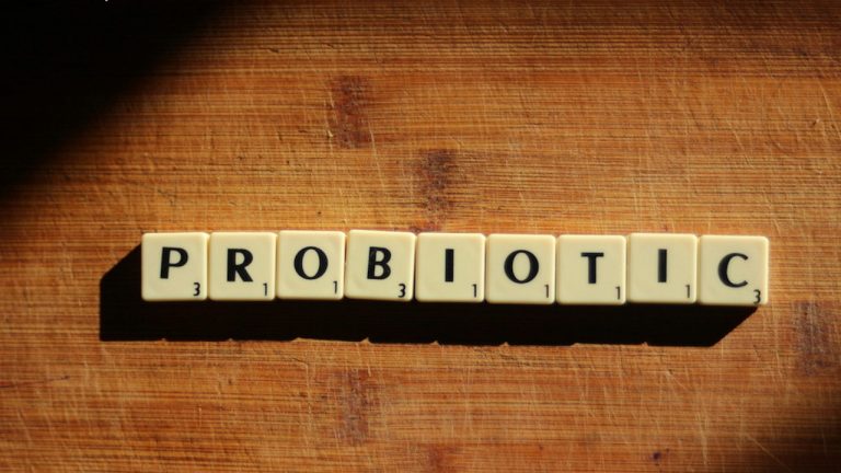 Probiotic Millet Elixirs – Cooling & Healing Drinks for the Gut